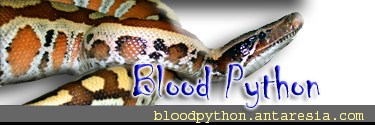  Blood pythons information 